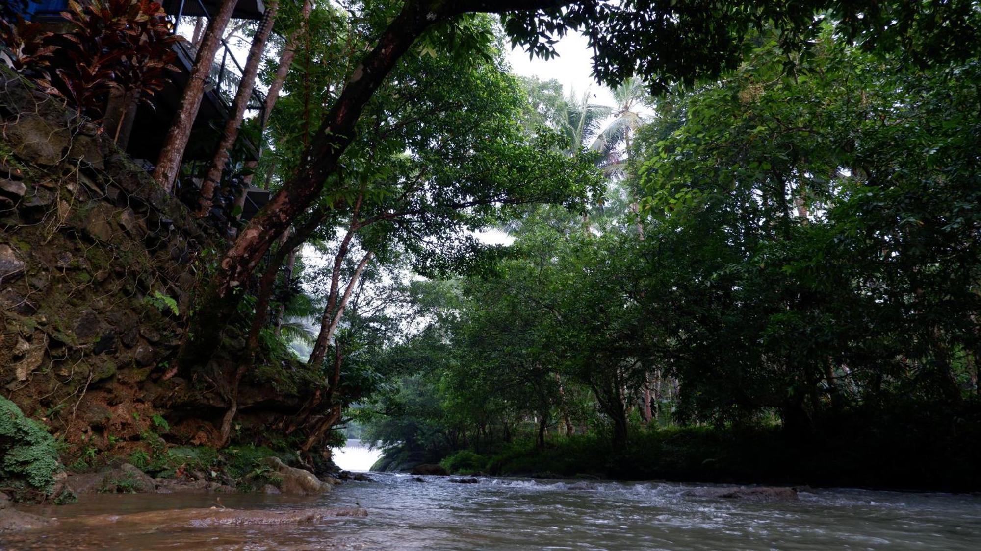 Hau Eco Lodges Citumang Pangandaran Exterior foto