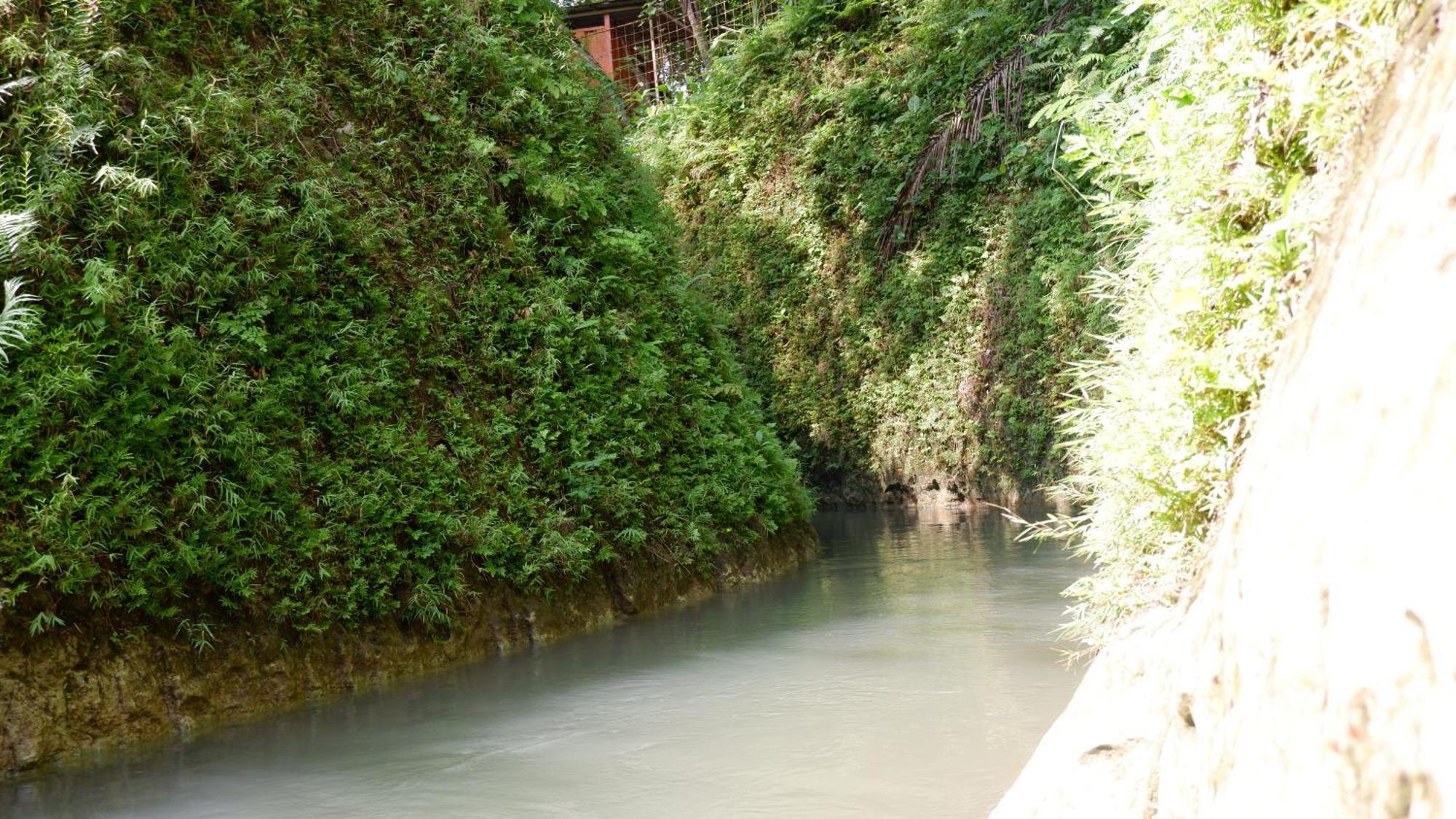 Hau Eco Lodges Citumang Pangandaran Exterior foto
